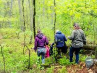Bosgrond - Wat zijn de voordelen van een eigen bos?