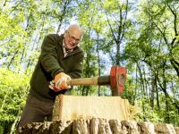 Bosgrond - Mag je op je eigen perceel hout hakken? 