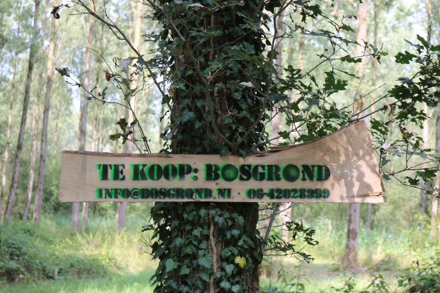 straf knelpunt haai Bosgrond.nl - St-Oedenrode, Brabant